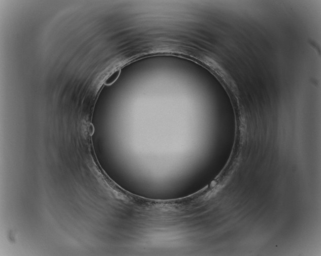 X0000103420993200809121303