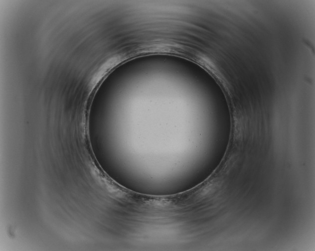 X0000103420994200809121303