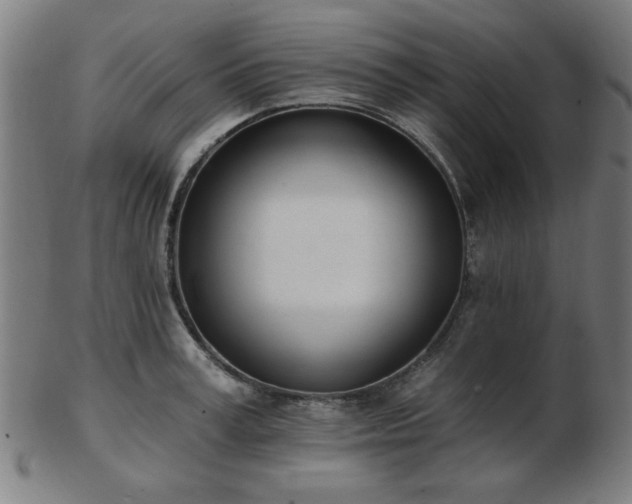 X0000103420995200809121303