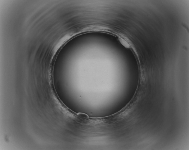 X0000103420997200809121303