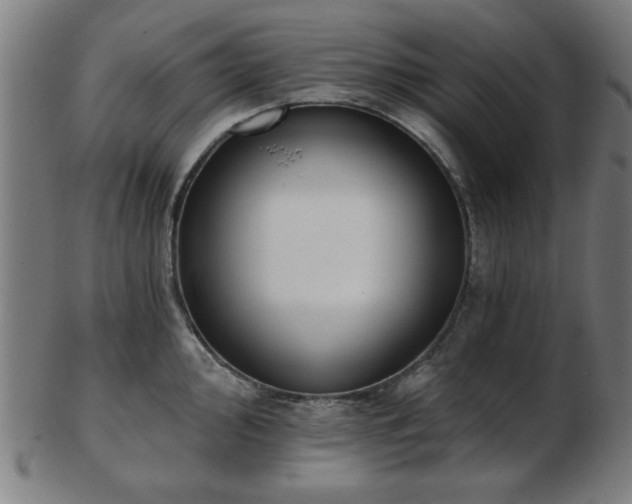 X0000103421000200809121303