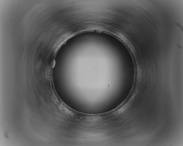 X0000103421001200809121303