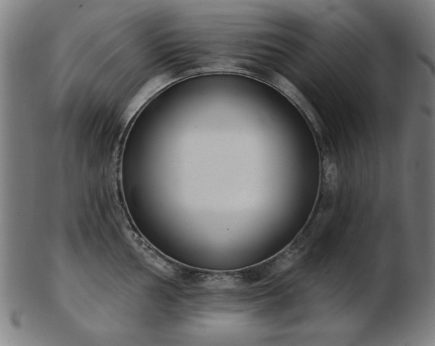 X0000103421002200809121303