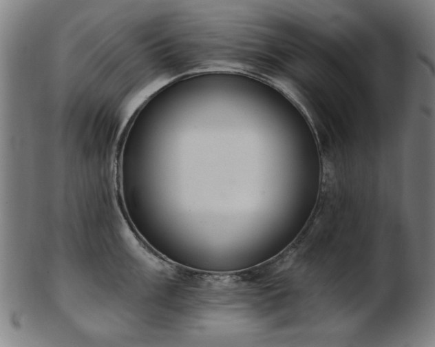 X0000103421003200809121302