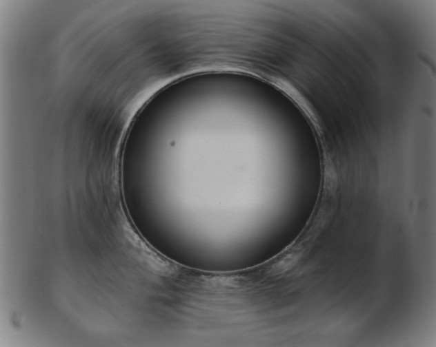 X0000103421004200809121302