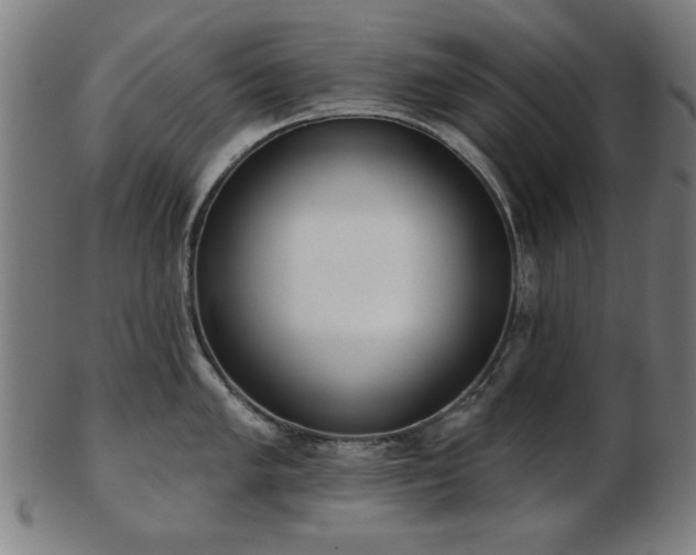 X0000103421005200809121302