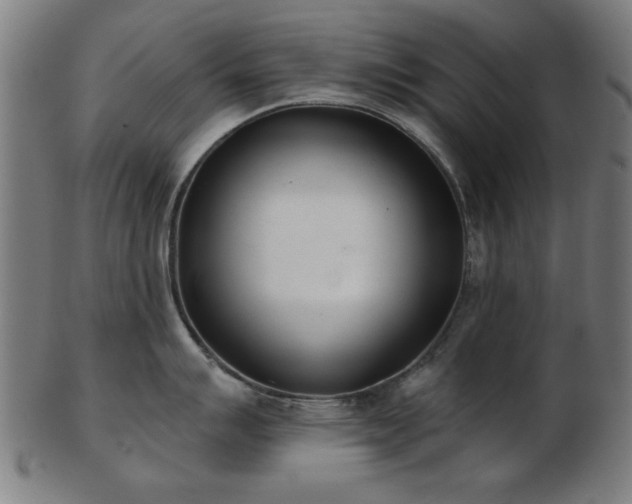 X0000103421007200809121302