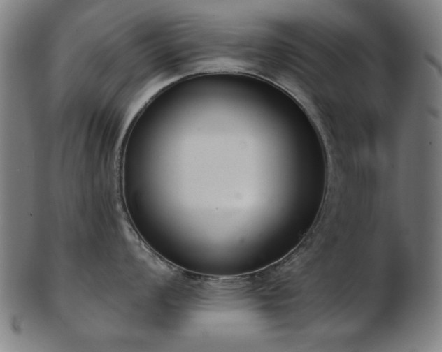 X0000103421008200809121302