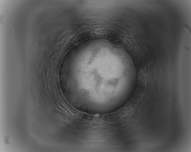 X0000103421009200809121302