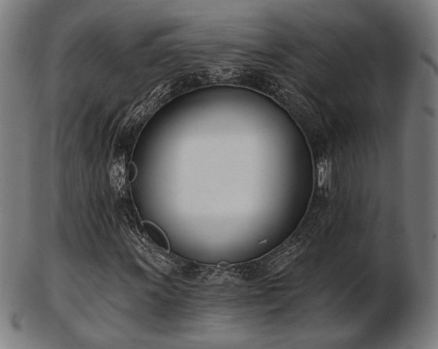 X0000103421011200809121302
