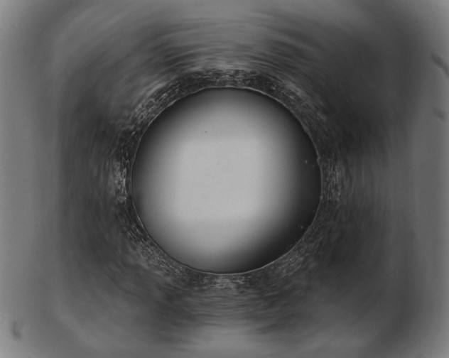 X0000103421013200809121302