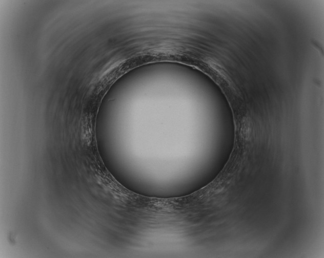 X0000103421015200809121302