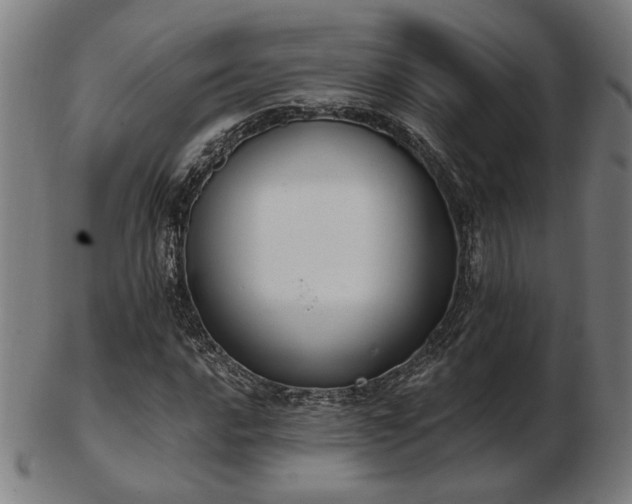 X0000103421016200809121302
