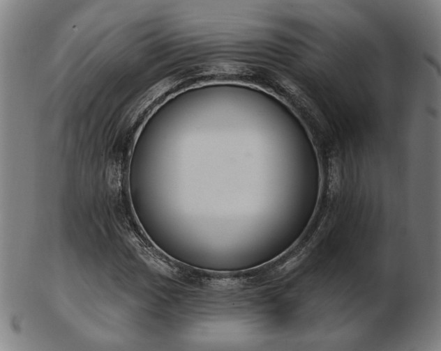 X0000103421017200809121302