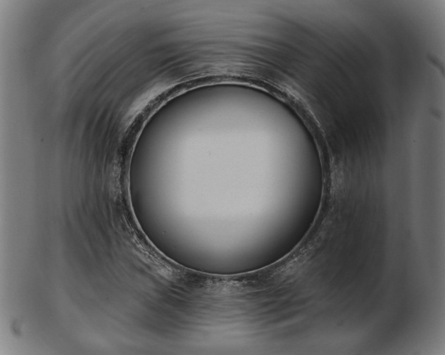 X0000103421019200809121302