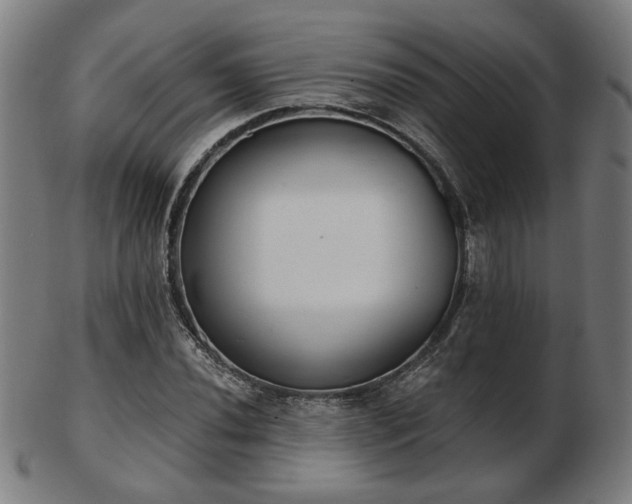 X0000103421020200809121302