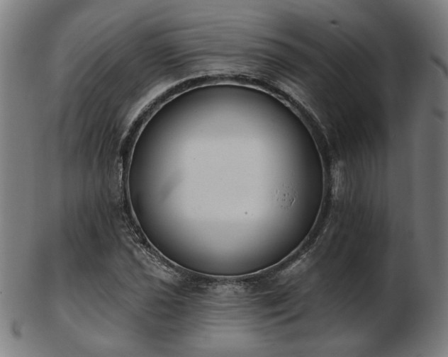X0000103421021200809121302