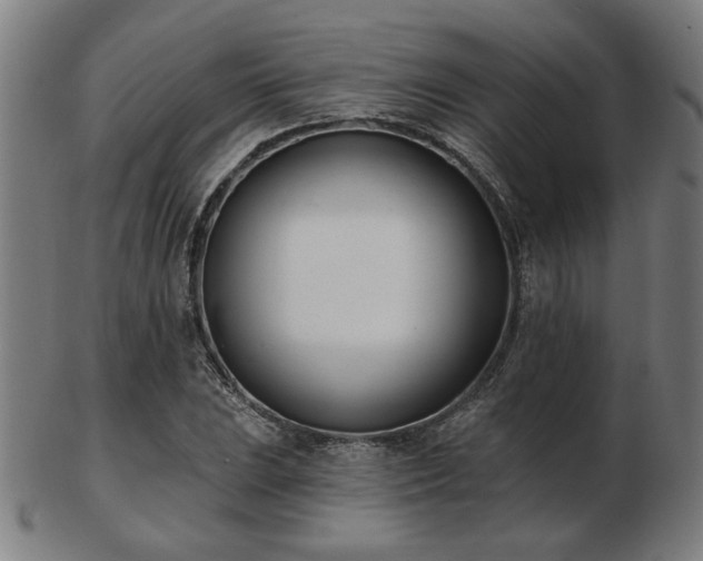 X0000103421023200809121302