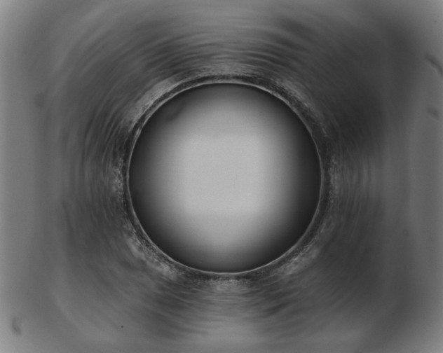 X0000103421025200809121302