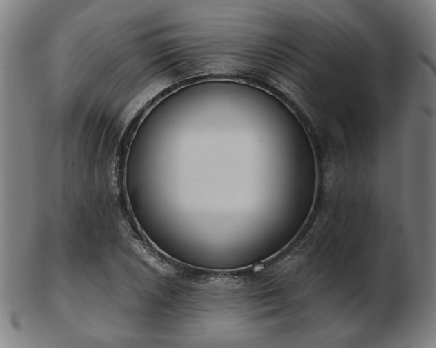 X0000103421026200809121302