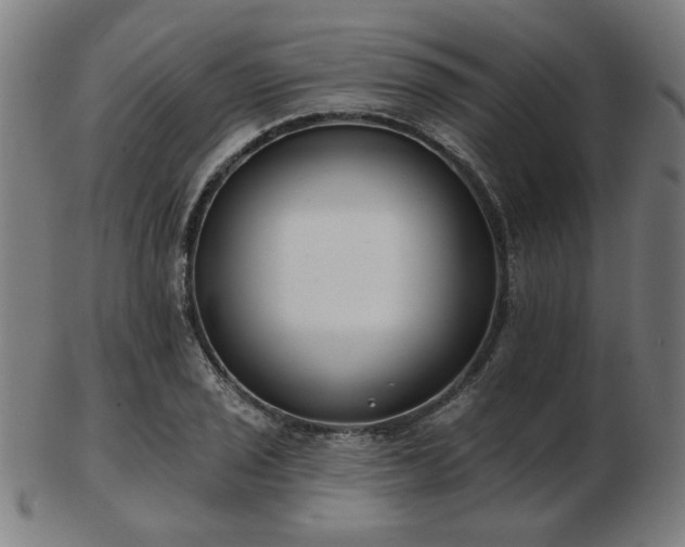 X0000103421029200809121302