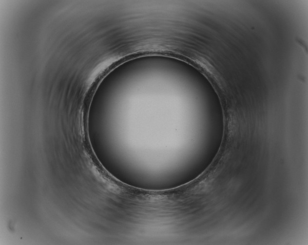 X0000103421030200809121302