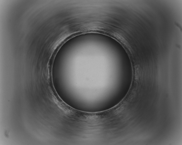 X0000103421031200809121302
