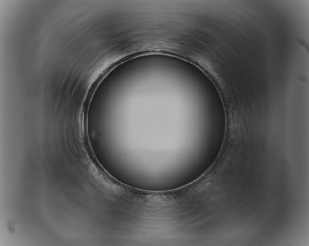X0000103421032200809121302