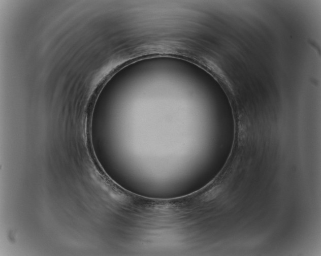 X0000103421035200809121302