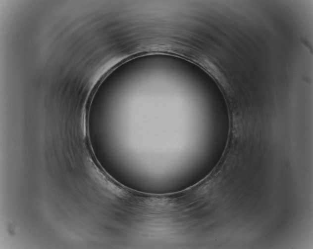 X0000103421036200809121302