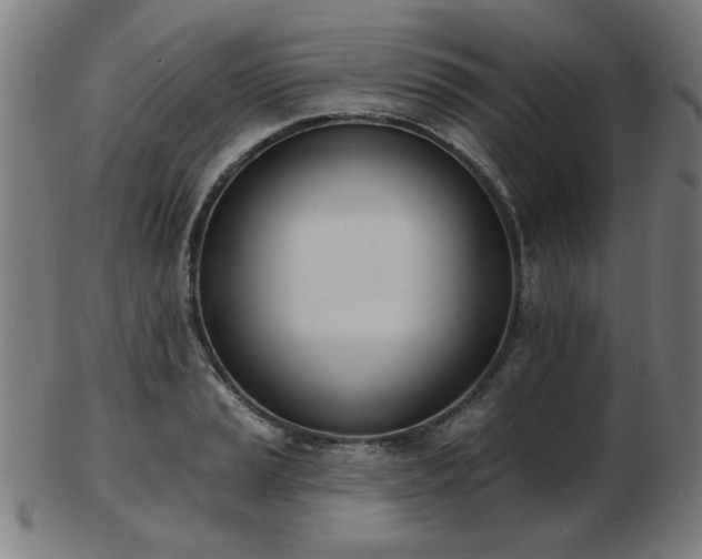 X0000103421037200809121302