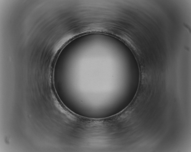X0000103421038200809121302