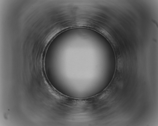 X0000103421039200809121302