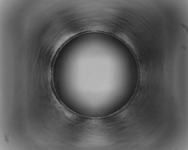 X0000103421040200809121302