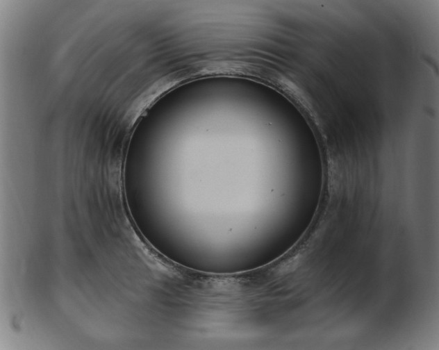 X0000103421041200809121302