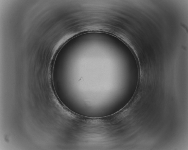 X0000103421045200809121302