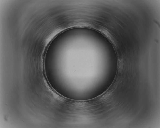 X0000103421046200809121302