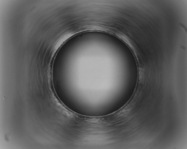 X0000103421048200809121302