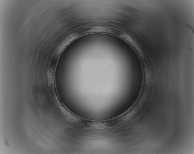 X0000103421049200809121302