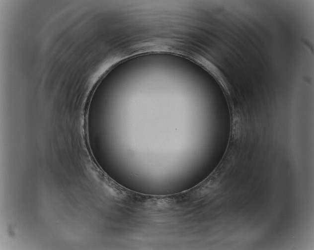 X0000103421051200809121302