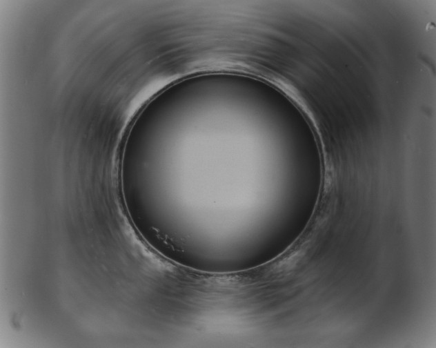 X0000103421053200809121302