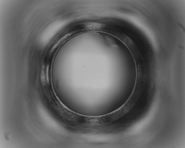 X0000103421054200809121302