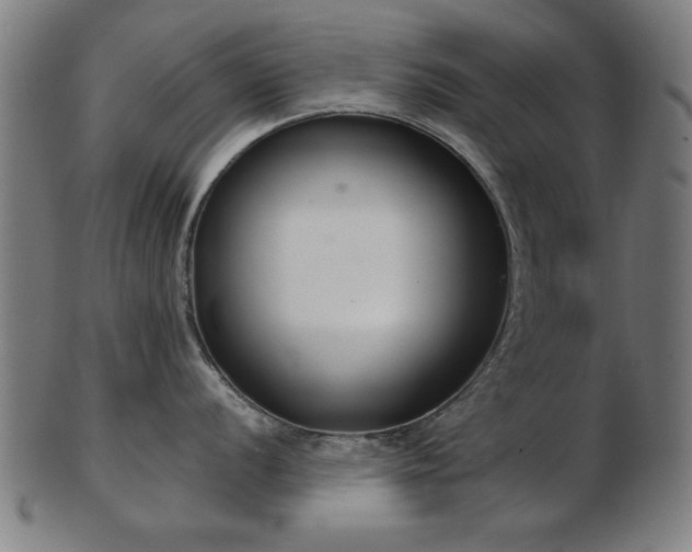 X0000103421056200809121302