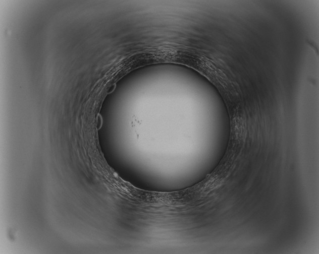 X0000103421057200809121302