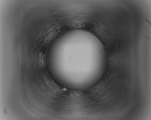X0000103421058200809121302