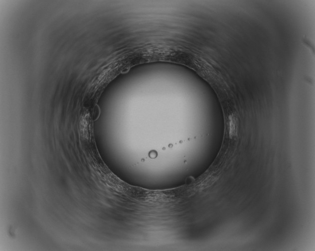 X0000103421059200809121302