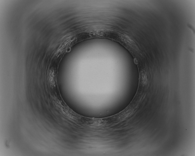 X0000103421060200809121302