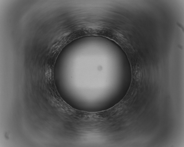 X0000103421061200809121302