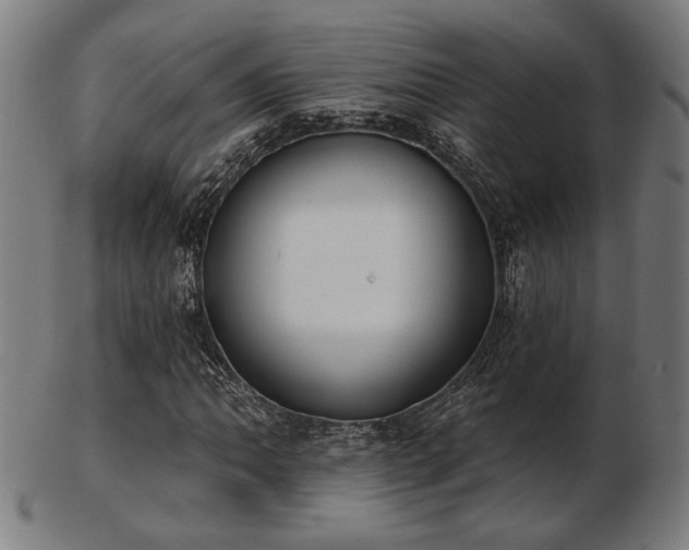 X0000103421062200809121302