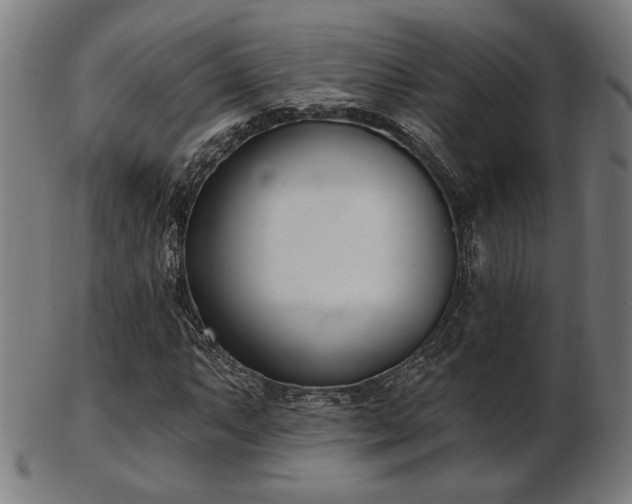 X0000103421063200809121302
